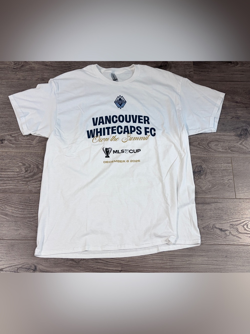 Vancouver Whitecaps MLS Cup Finals Own The Summit Dec 6 2025 Gildan T-Shirt XL